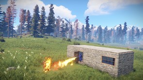 Сколько стоит rust